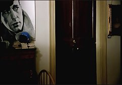 سبزه با عجله دانلودفیلم سگسی خارجی با گربه بازی می کند