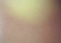 مرد دختر جوان جوان داستان سسکی گربه را ترک می کند