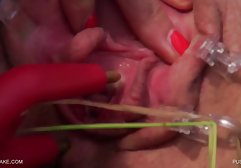 یک ویدیو برش کوچک که به طور انحصاری از فیلم های آماتور ساخته شده است، که در آن دختران حیاط عادی، با قدم های قدرتمند و ضخیم خود، فلیم سکیس خارجی عزیزان خود را دوست دارند، شیرین بلعیدن تمام اسپرم